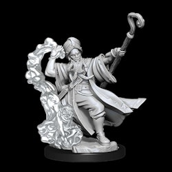 D&D frameworks Human wizard male