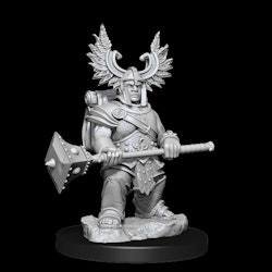D&D frameworks Dwarf Barbarian female