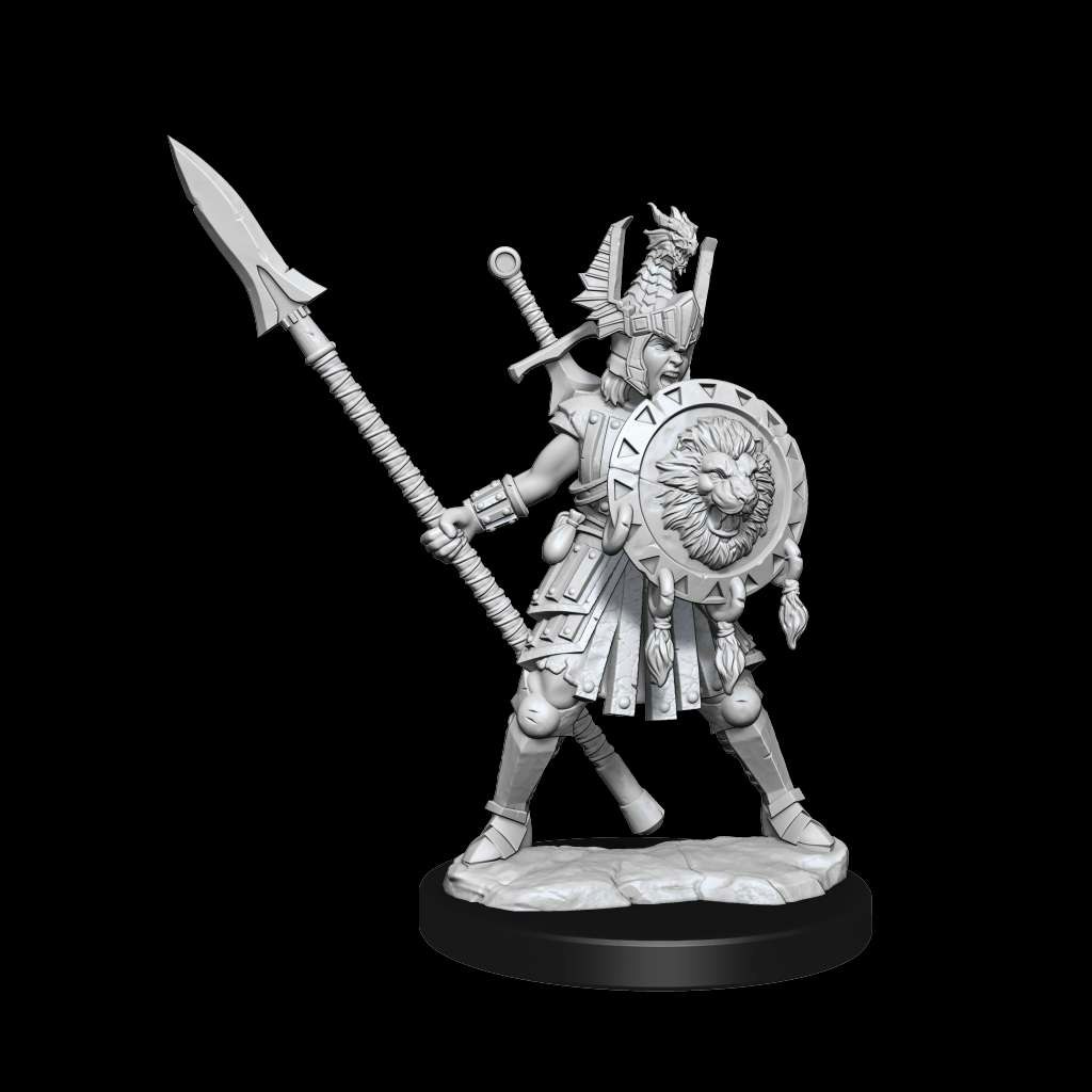 D&D frameworks Human fighter female