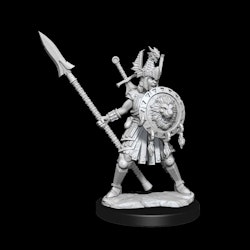 D&D frameworks Human fighter female