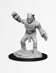 D&D Nolzur's marvelous miniatures Stone Golem