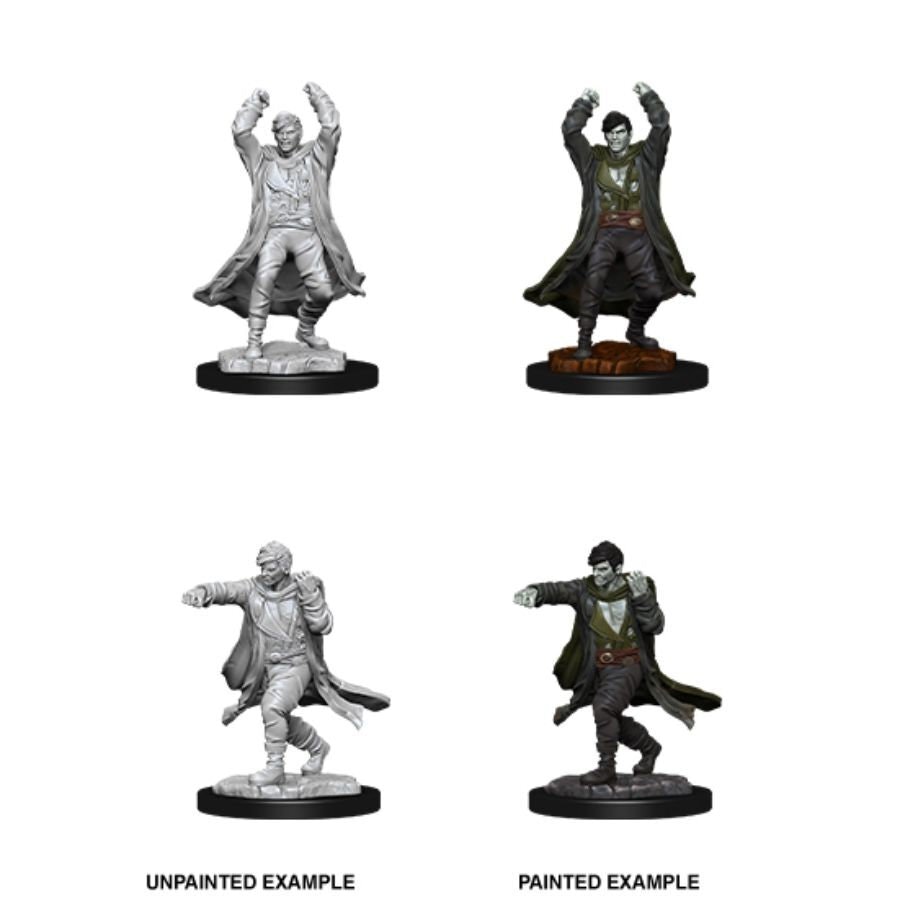 D&D Nolzur's marvelous miniatures Revenant 2 pack