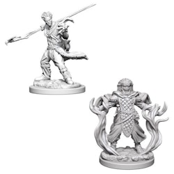 D&D Nolzur's marvelous miniatures Human Druid 2 pack