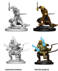 D&D Nolzur's marvelous miniatures Githzerai 2 pack