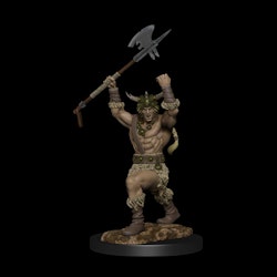 D&D Nolzur's marvelous miniatures Human barbarian male 2 pack