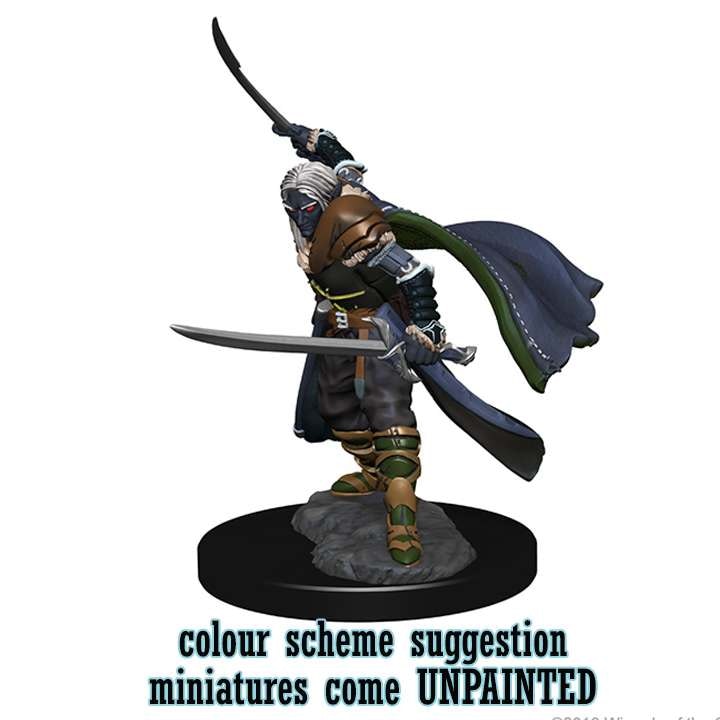 D&D Nolzur's marvelous miniatures Elf ranger male 2 pack