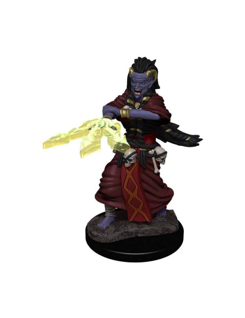D&D Nolzur's marvelous miniatures Night Hag & Dusk Hag 2 pack