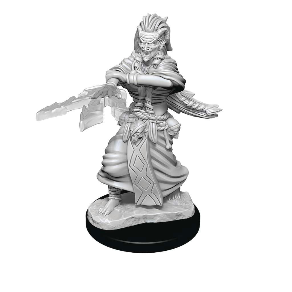 D&D Nolzur's marvelous miniatures Night Hag & Dusk Hag 2 pack