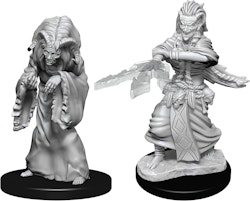 D&D Nolzur's marvelous miniatures Night Hag & Dusk Hag 2 pack