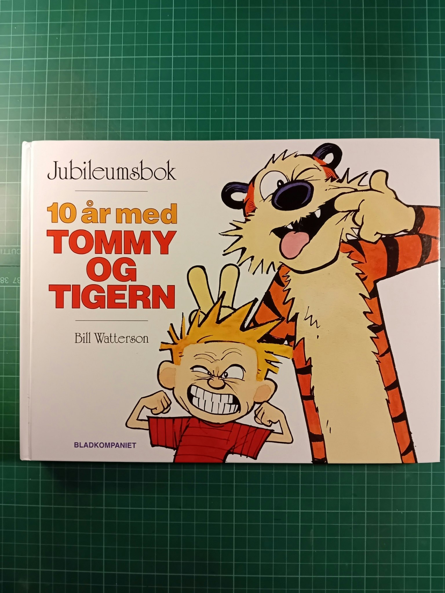 10 år med Tommy og Tigern