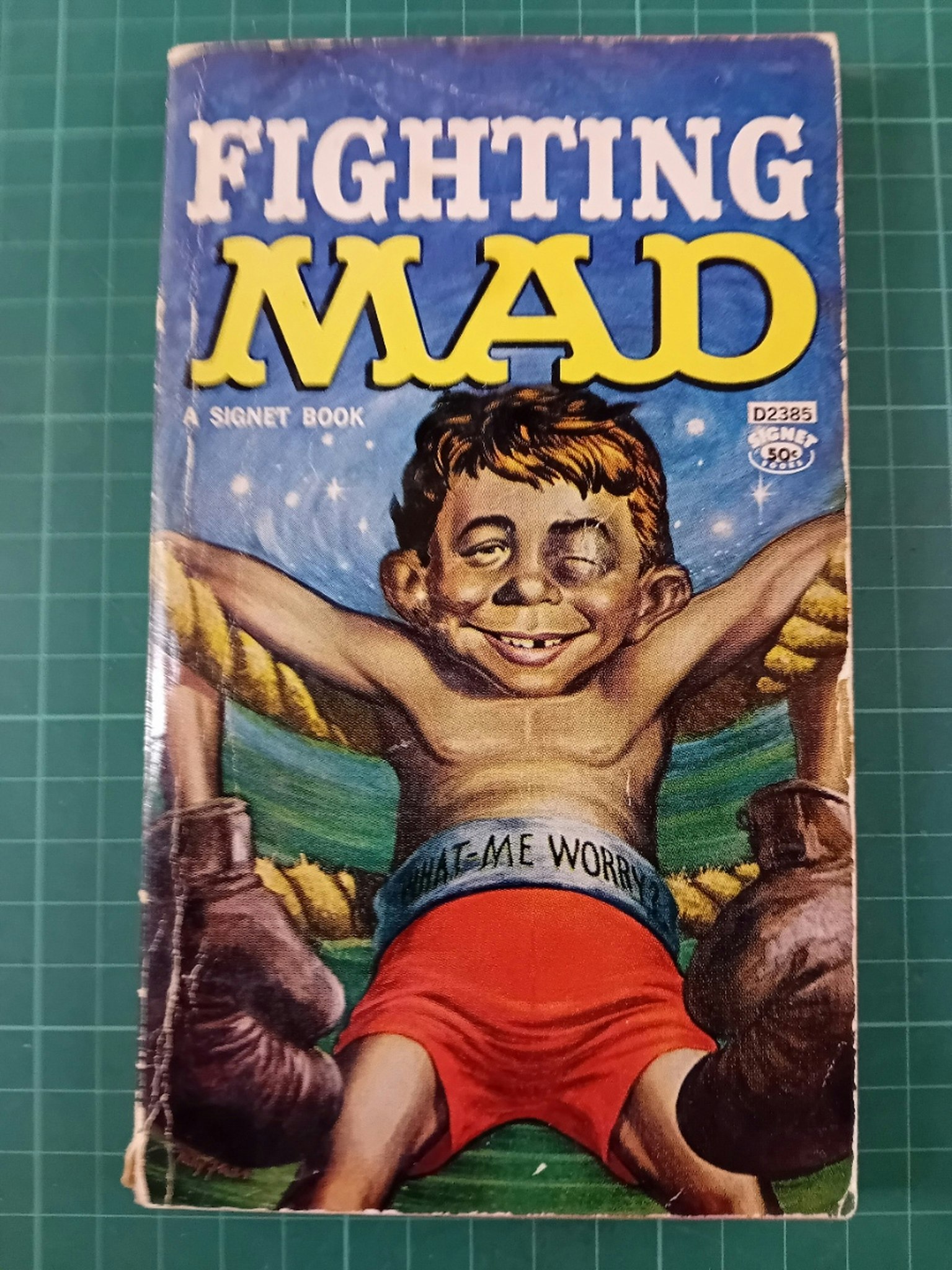 Fighting Mad (USA)