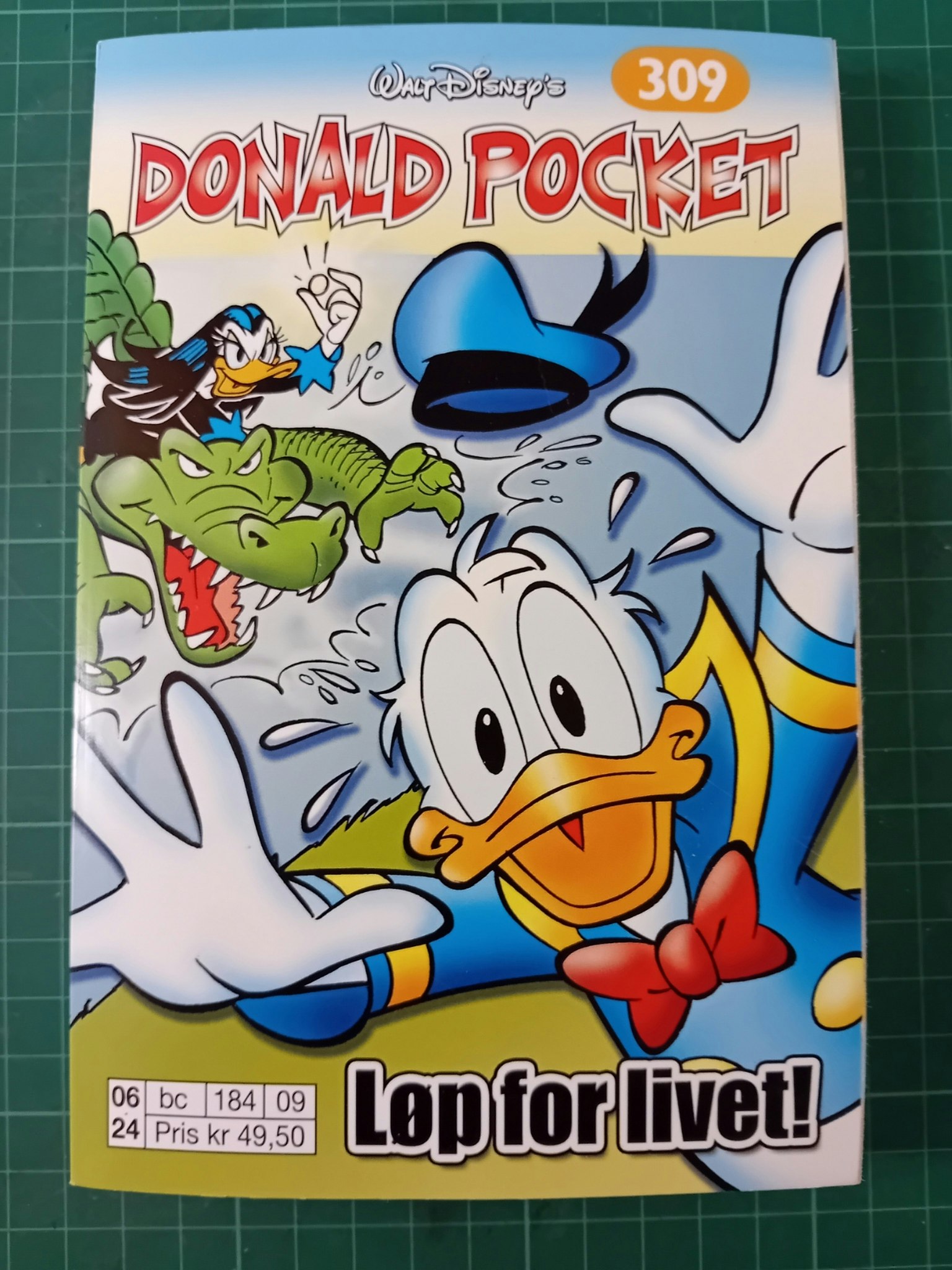 Donald Pocket 309