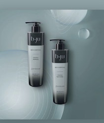 BJU Timeless