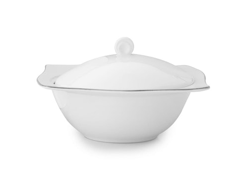 Astro Silver Terrin