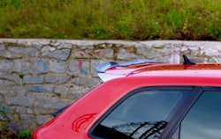 RS3 - Vinge/tillägg - Audi RS3 8P