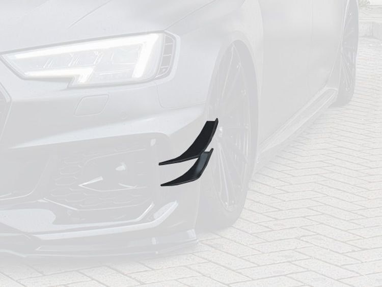 RS4 2018+ - Cupwings