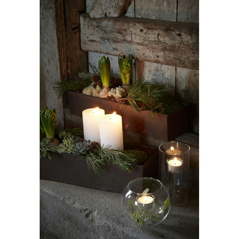 RAGNA Plantering Rost