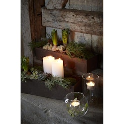 RAGNA Plantering Rost