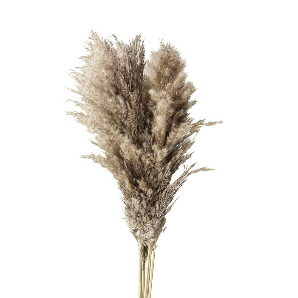 Pampas Natur