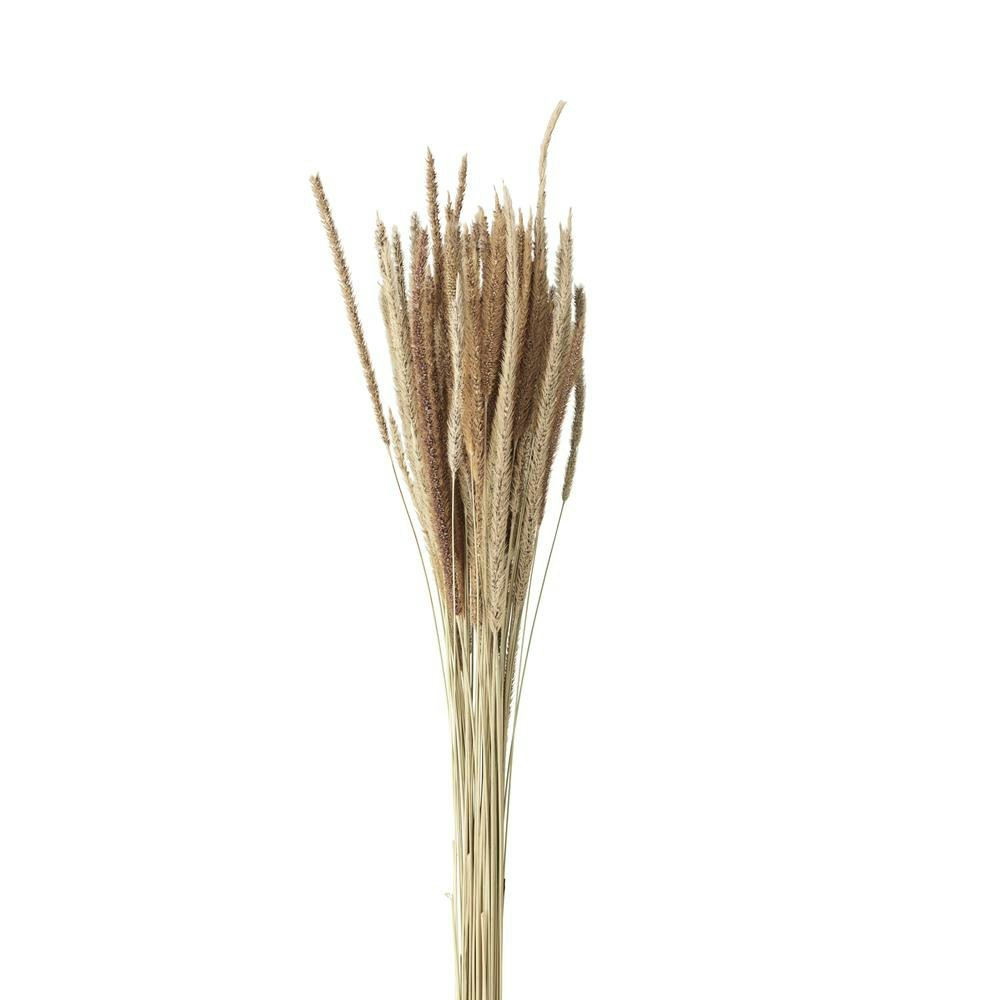 Grässtrå