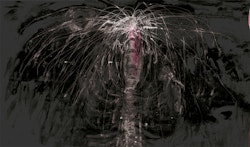 Creatura nigrum mortem