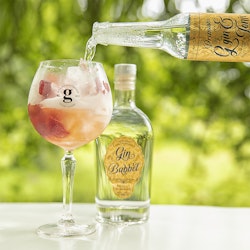 G&T Glas - 6st