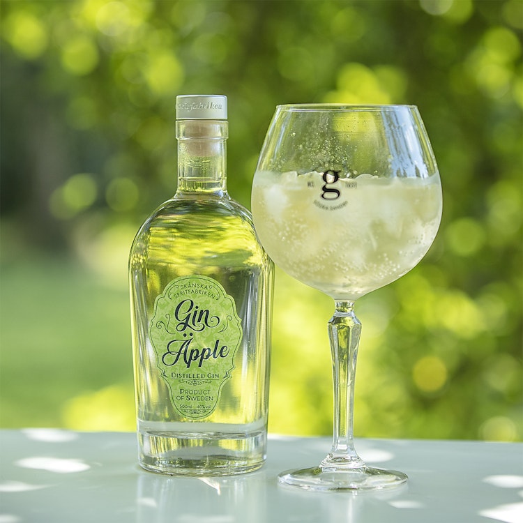 G&T Glas - 6st