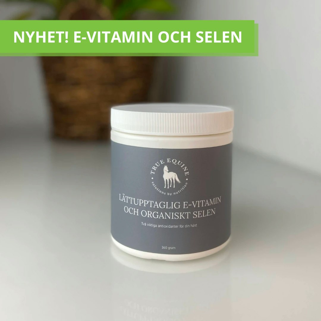 E-Vitamin och Selen