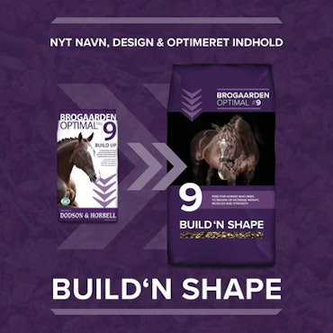Optimal 9 - Build 'N Shape, 15 kg