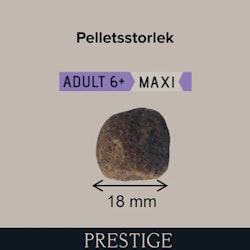 Prestige - Adult Maxi 6+ - Hundmat - 15 kg