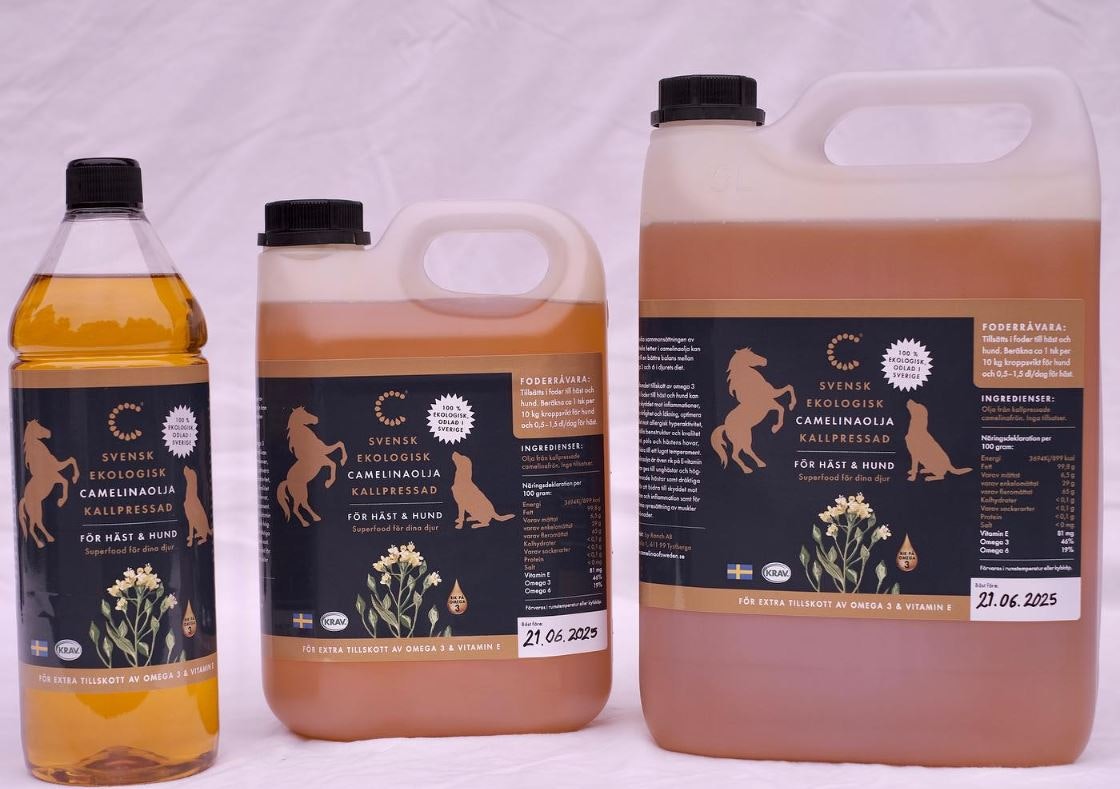 Camelinaolja för Häst & Hund Ekologisk