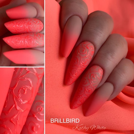 40% BB - Designer Gel - Neon Coral