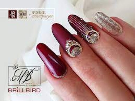 BB - Spider Gel - Champagne