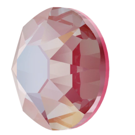 Lotus Pink Delite