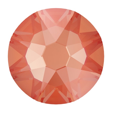 Orange Glow Delite