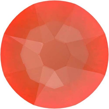 Orange Ignite