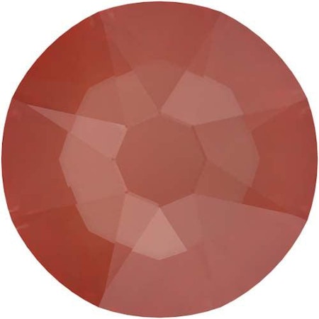 Maroon Ignite