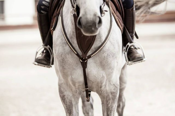 Pariani Brösta med martingal guldklinkers