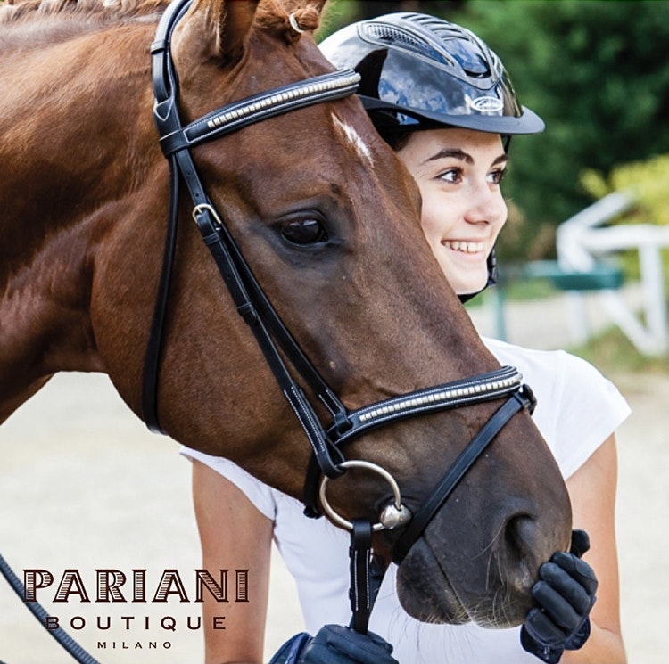 Pariani Klinkerträns i Mässing komplett med tyglar