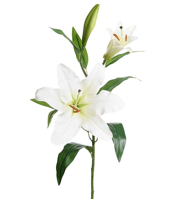 Lilja vit 70 cm