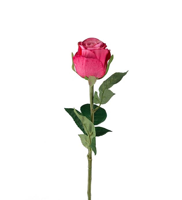 Ros rosa 50cm