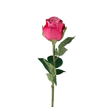 Ros rosa 50cm