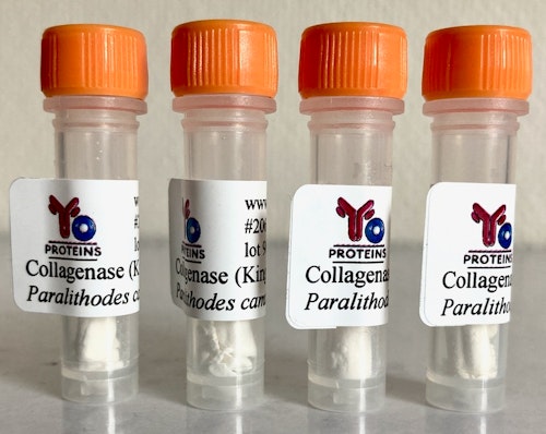 206 Collagenase (Paralithodes Camtschatica) 1 mg