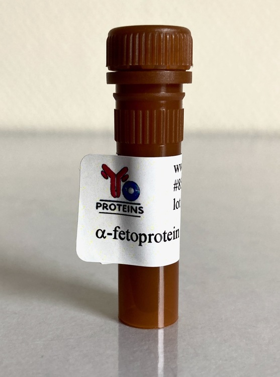 858-0.5 alpha fetoprotein (human) 0.5 mg
