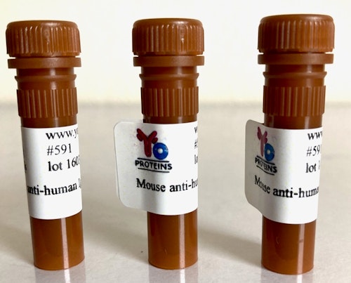591 Mouse anti-human IgA monoclonal antibody, clone BFG-267 HRP 1.2 mg