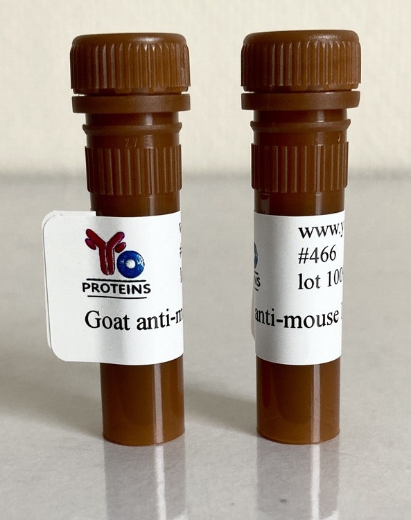 466 Goat anti-mouse IgG, IgM, IgA polyclonal antibody FITC 1.2 mg