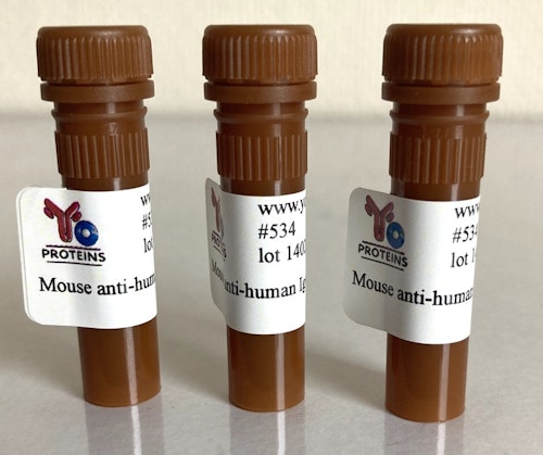 534 Mouse anti-human IgG monoclonal antibody, clone EFE-565 1 ml