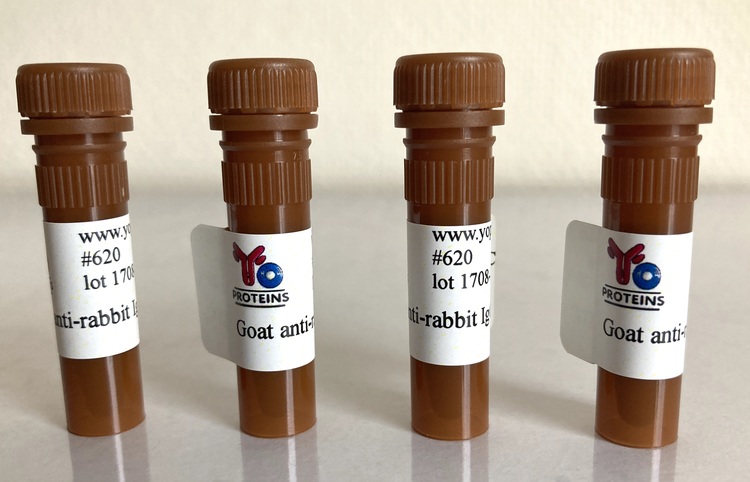 620 Goat anti-rabbit IgG, IgM, IgA polyclonal antibody FITC 1.2 mg