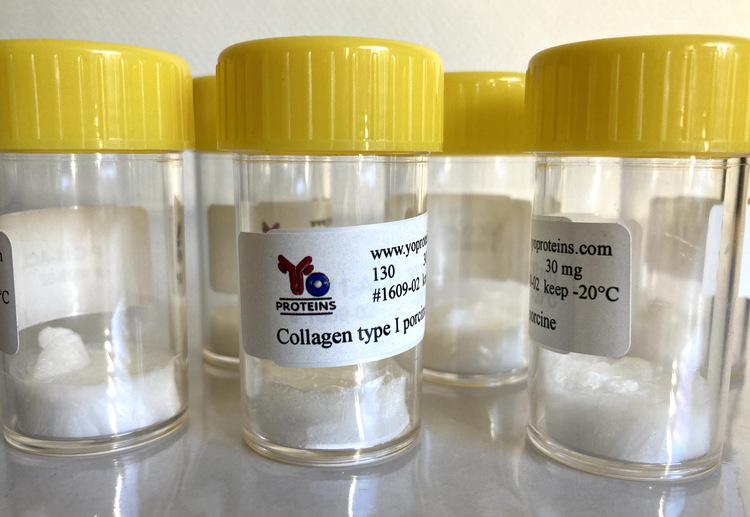 130 Collagen type I (porcine, atelocollagen suitable for 3D gel, sterile, lyophilized)