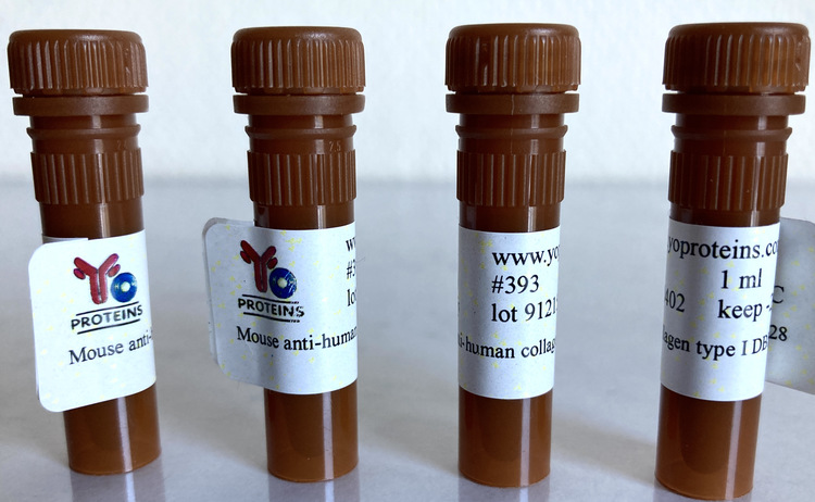 393 Mouse anti-human collagen type I monoclonal antibody, clone DBH 428 1 ml